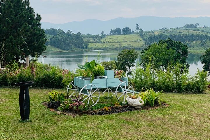 3 days Bwindi Gorilla Tour in Kampala