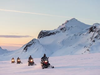 Reykjavík Whales & Snowmobile, photo 7