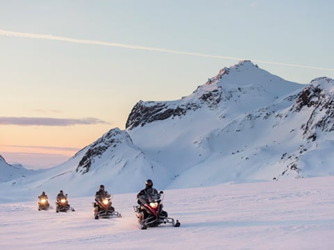 Reykjavík Whales & Snowmobile, photo 7