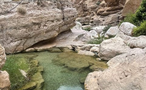 Private Day Trip to Wadi Shab and Bimmah Sinkhole from Muscat