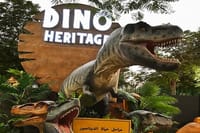 Dubai Garden Glow Tickets with Transport Options 5
