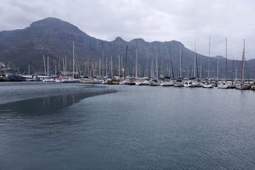 Private Cape Town City Bowl and Constantia Wine Tour