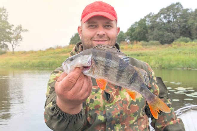 Full-Day Fishing Experience With Barbecue In Santos – Pick-up In Santos 10