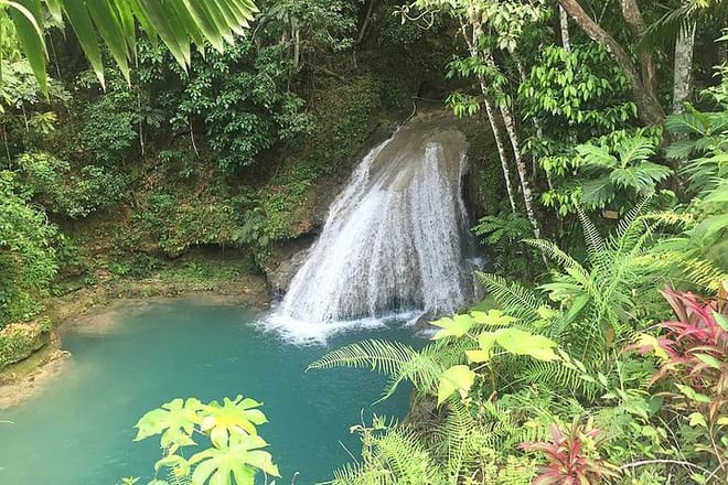 Private Blue Hole Tour from Montego Bay  4