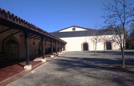 Private half day wine tour Concha y Toro