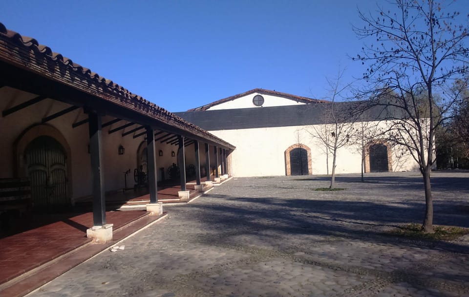 Private Half Day Wine Tour at Concha y Toro in Pirque
