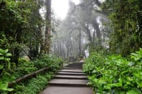 CHIANG MAI: Doi Inthanon & Trekking (2 Km.)at Kew Mae Pan (incl entrance fees) 9
