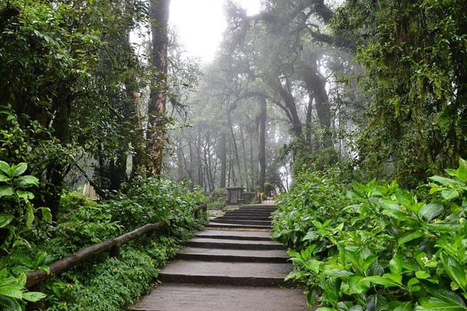 CHIANG MAI: Doi Inthanon & Trekking (2 Km.)at Kew Mae Pan (incl entrance fees) 9