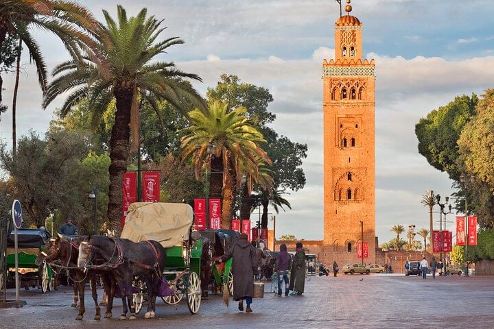 Marrakech Highlights Day Trip from Casablanca