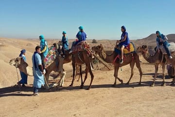 Dinner in Agafay Desert with Camel Ride or Quad Bike