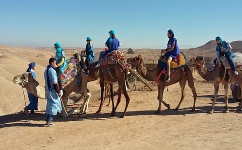 Dinner and Camel Ride or Quad Bike in Agafay Desert