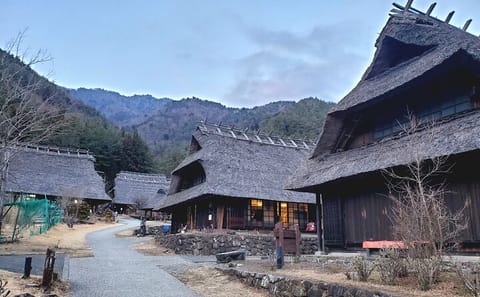 English Guided 2 Days Mt. Fuji and Hakone Private Tour