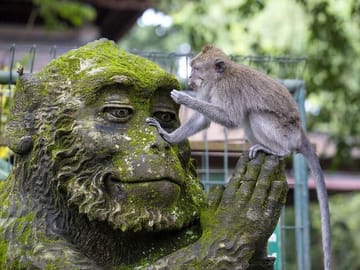 Private Cultural Tour of Ubud: Tampaksiring and Tegalalang