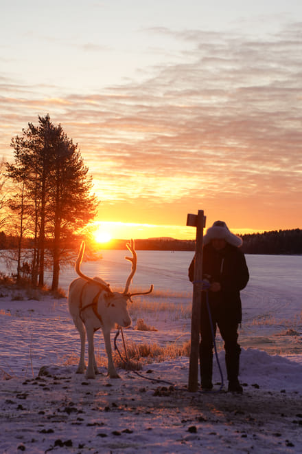 Private Reindeer Herder Day Experience, Rovaniemi, Lapland, Finland