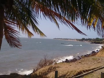 3-Day Cultural and Nature Tour of Marajó Island, Brazil