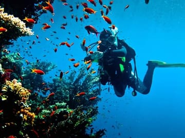 Premium Scuba Diving for Beginners, 2 Diving Stops & Lunch - Hurghada