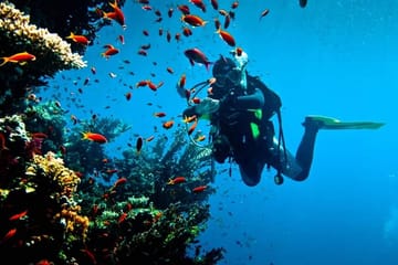 Premium Intro Diving for Beginners,2 Dive Stop & Lunch – Hurghada