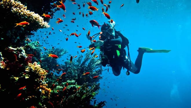 Premium Scuba Diving for Beginners, 2 Diving Stops & Lunch - Hurghada