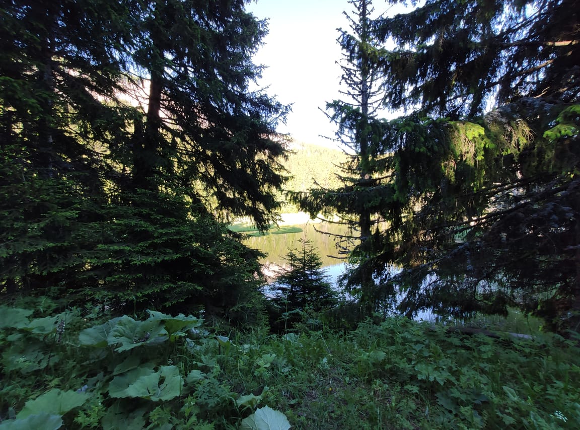 3-Day Bulgaria Private Mountain Biking Tour from Sofia 7