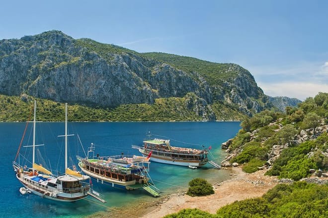Camellia island excursions