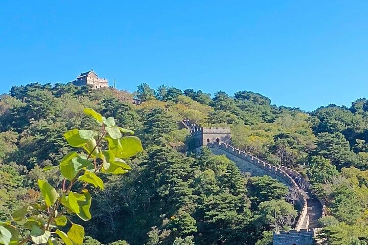 Beijing Forbidden City and Badaling Great Wall private day tour.