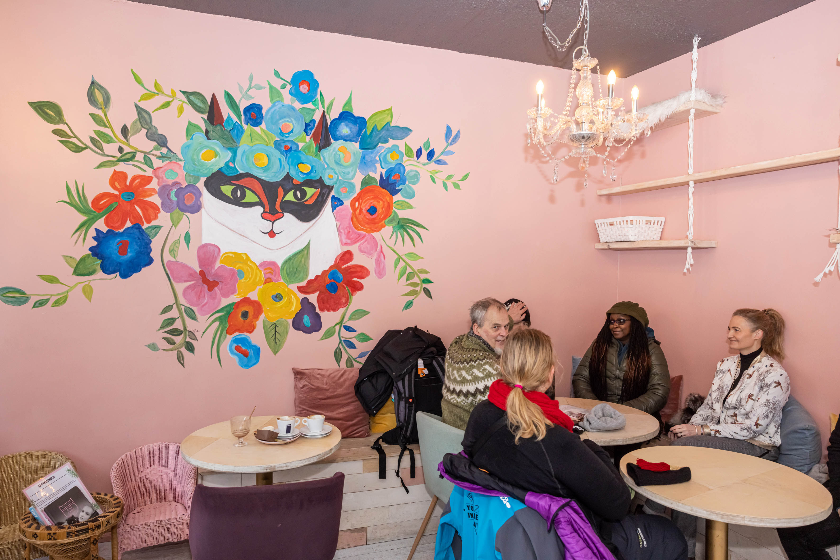 A view from inside the Reykjavik Kattakaffihusid