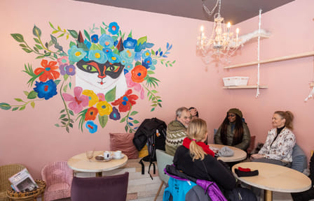 Private Reykjavik CatWalk