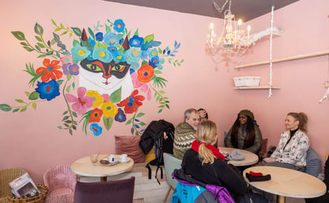 Private Cat-Themed Tour in Reykjavík with Local Treats