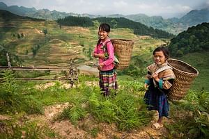 Sapa Trekking Group Tour By Sleeper Bus 2D1N (Overnight in Hotel)