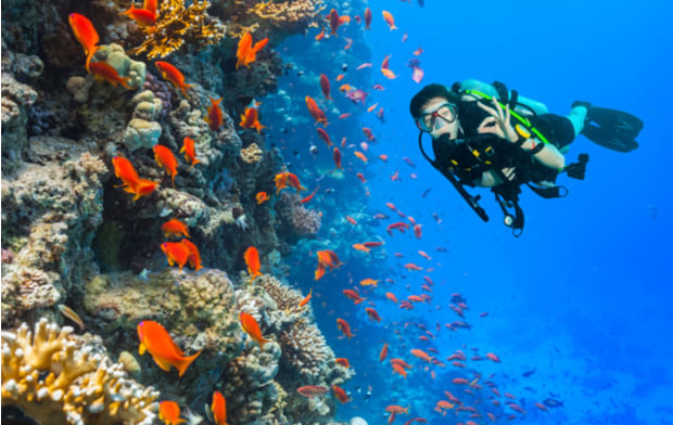 Immersioni avanzate nell'isola di Tiran - Stepway Tours