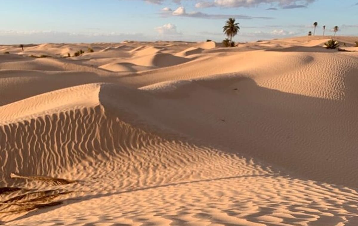 7 Day Guided Tunisia Tour Including Pickup