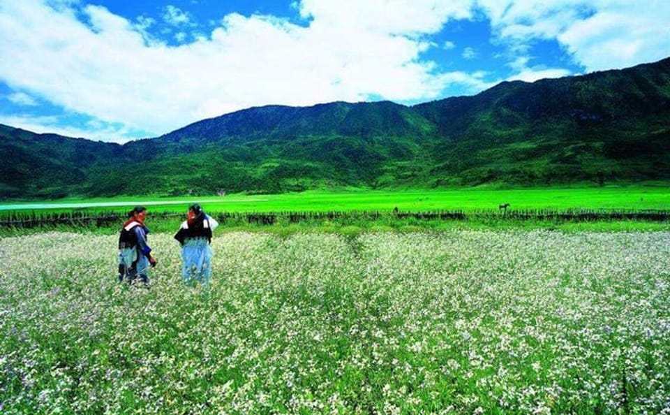 Horse Riding Tour at Lashi Lake in Lijiang