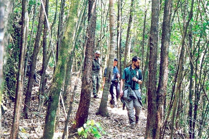 Full day: Hoi An - Bach Ma National Park