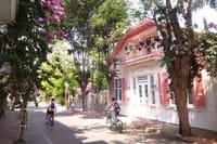  Istanbul: Princes Islands Tour with Hotel Transfer & Lunch 1