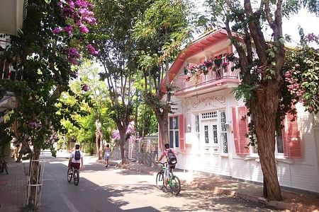 Explore Büyükada: A Relaxing Tour of Istanbul's Princes' Islands with Lunch
