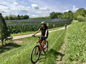 E-Bike tour with Wine tasting from Salò
