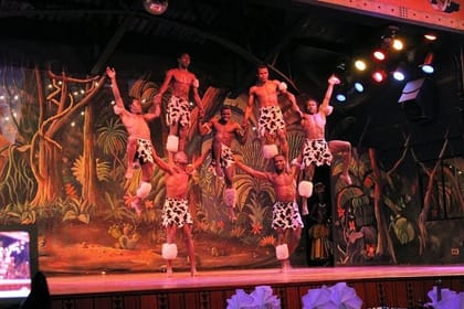 BBQ Dinner & Cat Dancers Experience at Safari Park Hotel