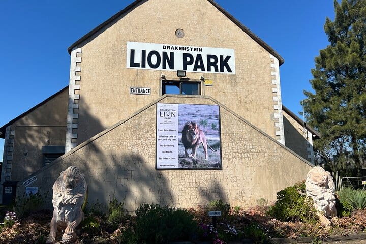 Giraffe Encounter and Lion Park with Wine Tasting in Stellenbosch