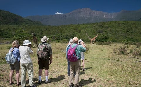 10-Day Camping Safari Northern Circuit
