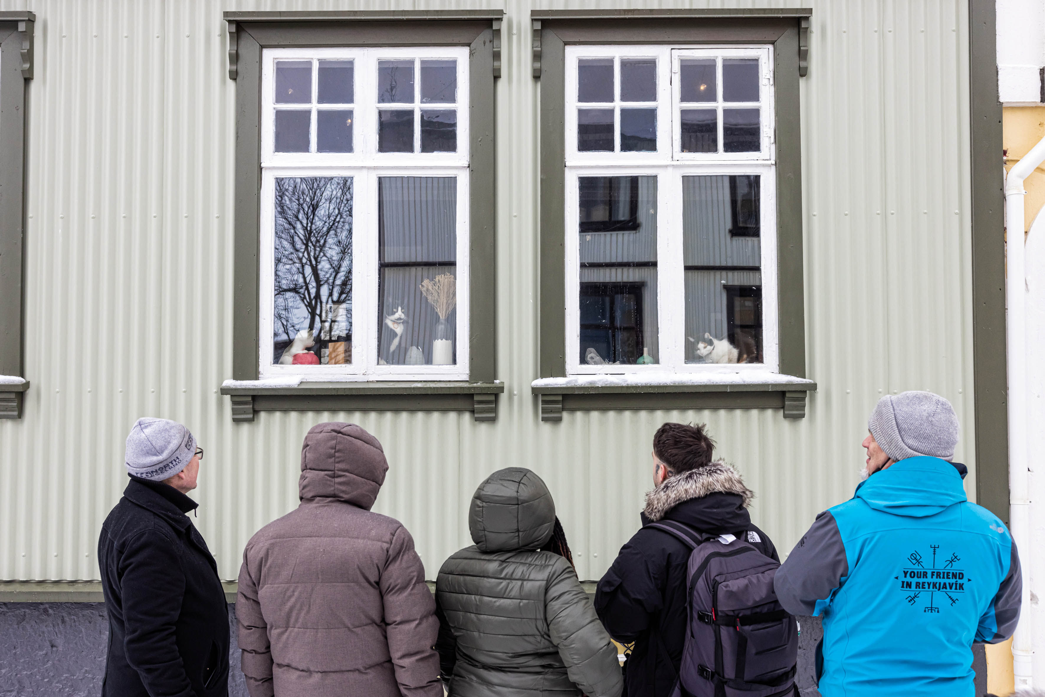 Travellers outside the cat-cafe in Reykjavik