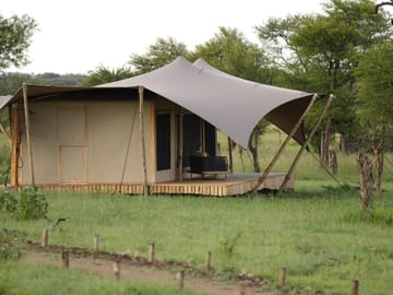 Luxury Tent Experience in Anantya Serengeti, Tanzania