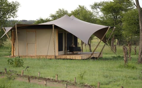 Luxury Tent Experience in Anantya Serengeti, Tanzania