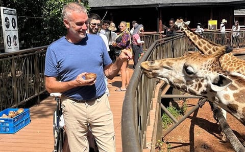 Nairobi Layover Tour: Explore Giraffe Centre and City Highlights
