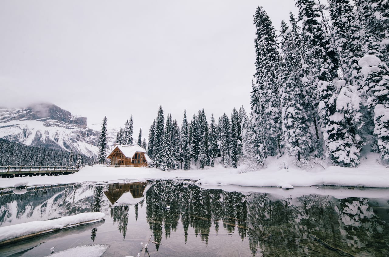 From Calgary Lake Louise, Emerald Lake and Peyto Lake 5