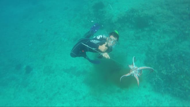 East Bali: Fishing Tour Spear or Line at Virgin Beach 9