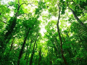 13-Day Adventure Tour of Sri Lanka's Nature and Wildlife