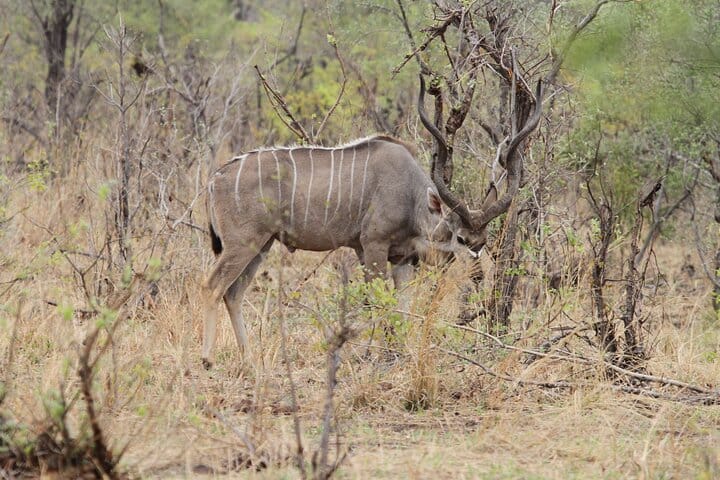 15 minutes scenic helicopter flight above Victoria Falls-Zimbabwe