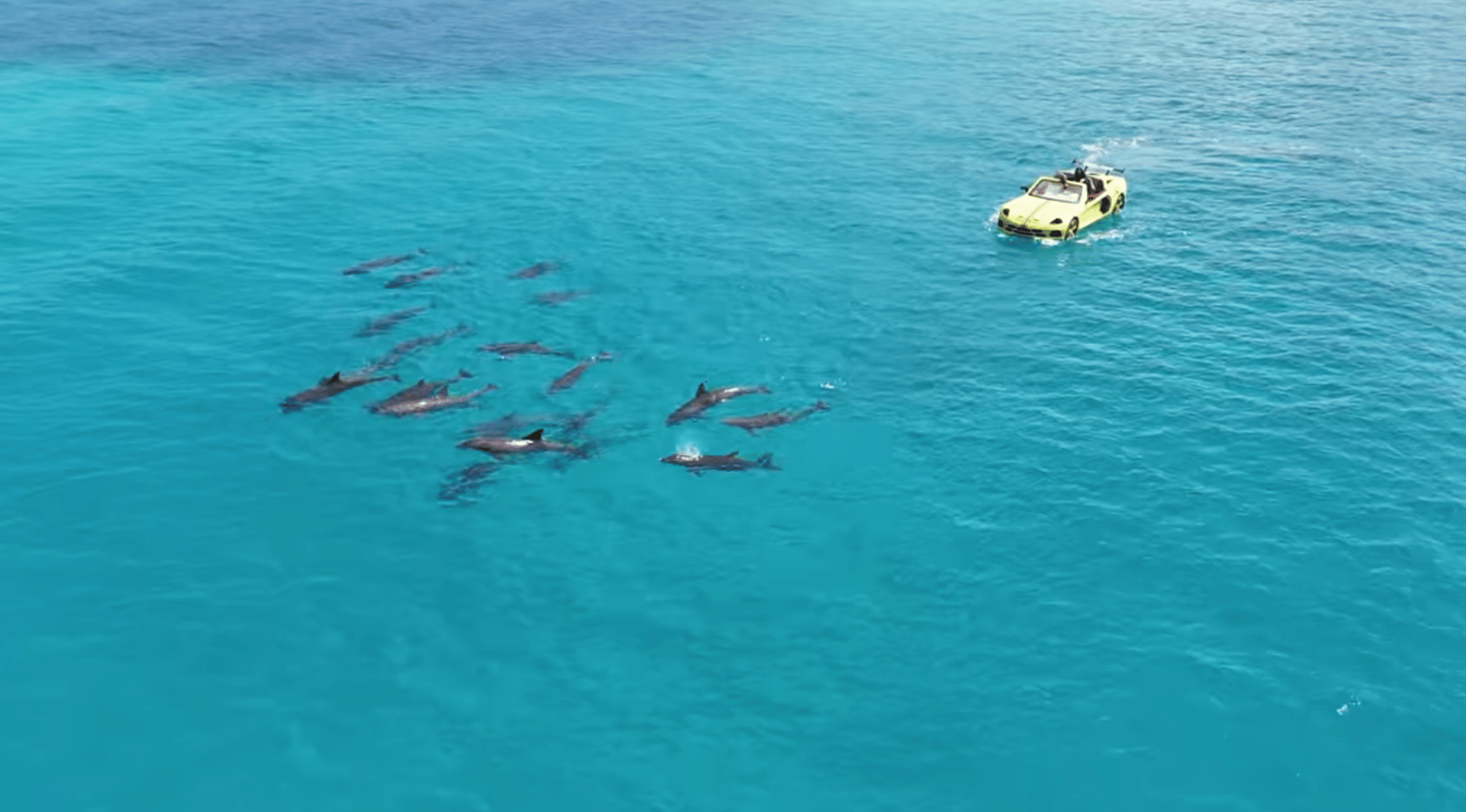 A group of friends on a Maclaren Jet Car enjoying the sight of playful dolphins near Himmafushi Island in the Maldives.
