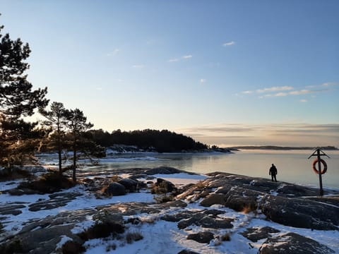 Winter Archipelago Excursion