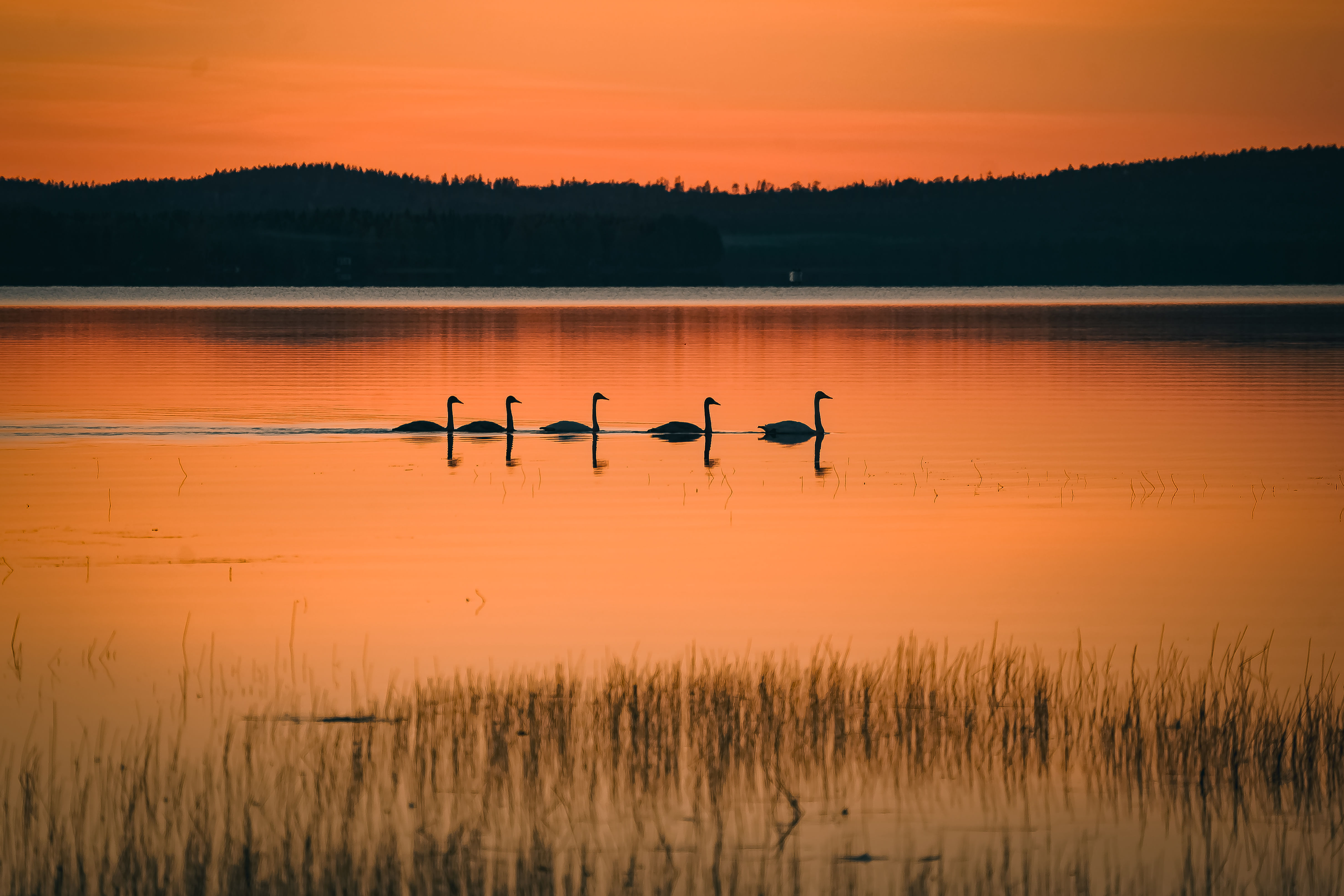 Magical summer evening in Rovaniemi
